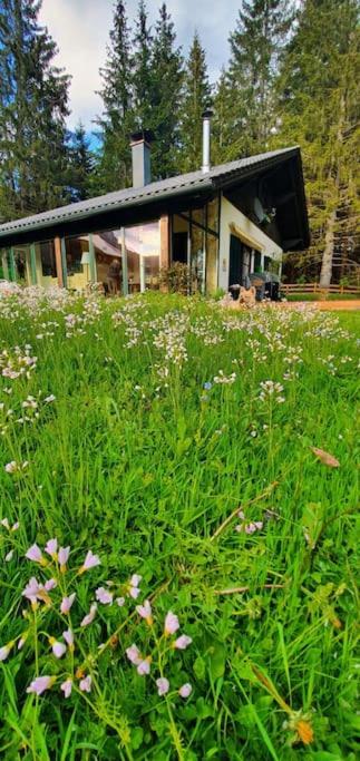 Alpenchalet im Steirischen Salzkammergut - Haus mit 2 Schlafzimmern - 71