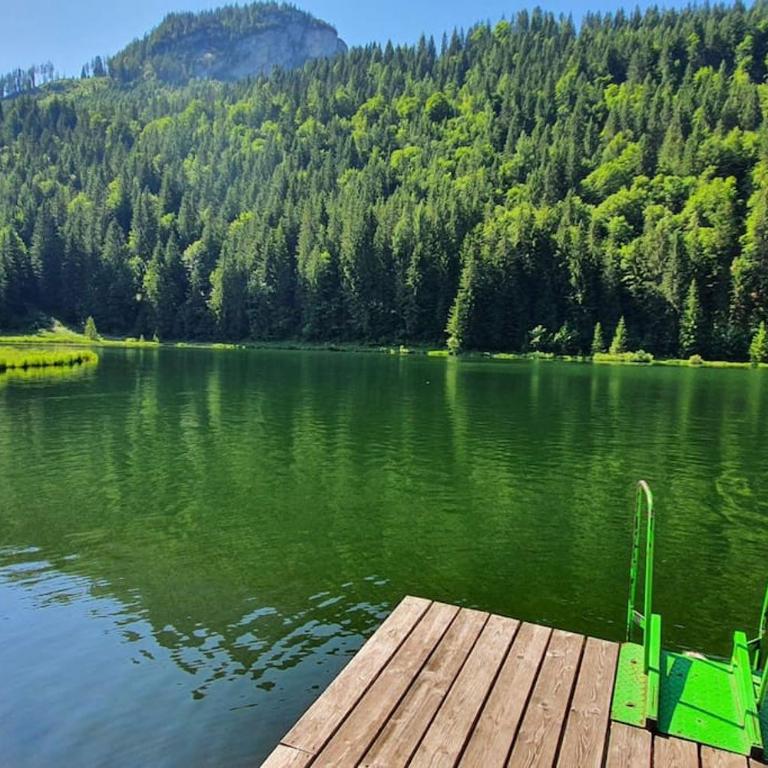 Alpenchalet im Steirischen Salzkammergut - Haus mit 2 Schlafzimmern - 60
