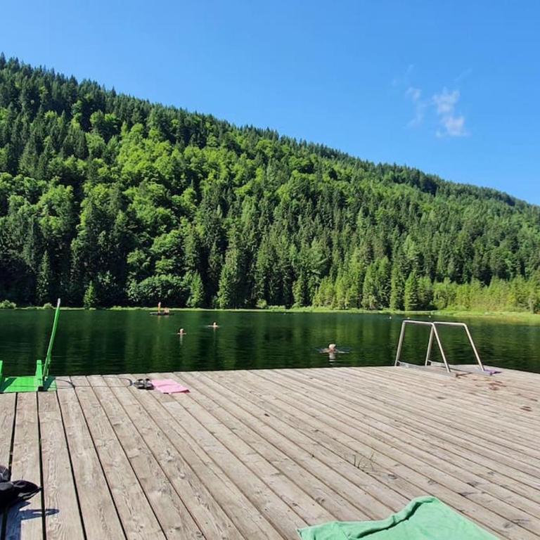 Alpenchalet im Steirischen Salzkammergut - Haus mit 2 Schlafzimmern - 59