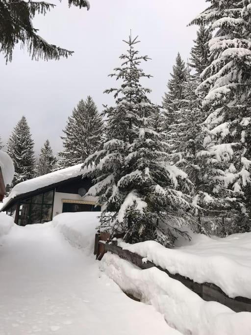 Alpenchalet im Steirischen Salzkammergut - Haus mit 2 Schlafzimmern - 53