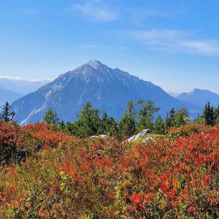 Alpenchalet im Steirischen Salzkammergut - Haus mit 2 Schlafzimmern - 47