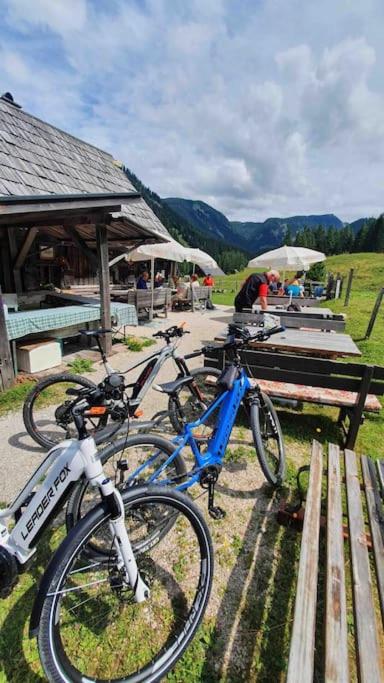 Alpenchalet im Steirischen Salzkammergut - Haus mit 2 Schlafzimmern - 46
