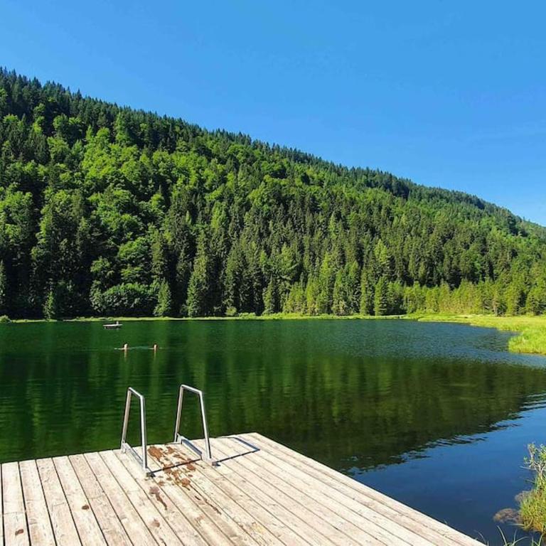Alpenchalet im Steirischen Salzkammergut - Haus mit 2 Schlafzimmern - 43