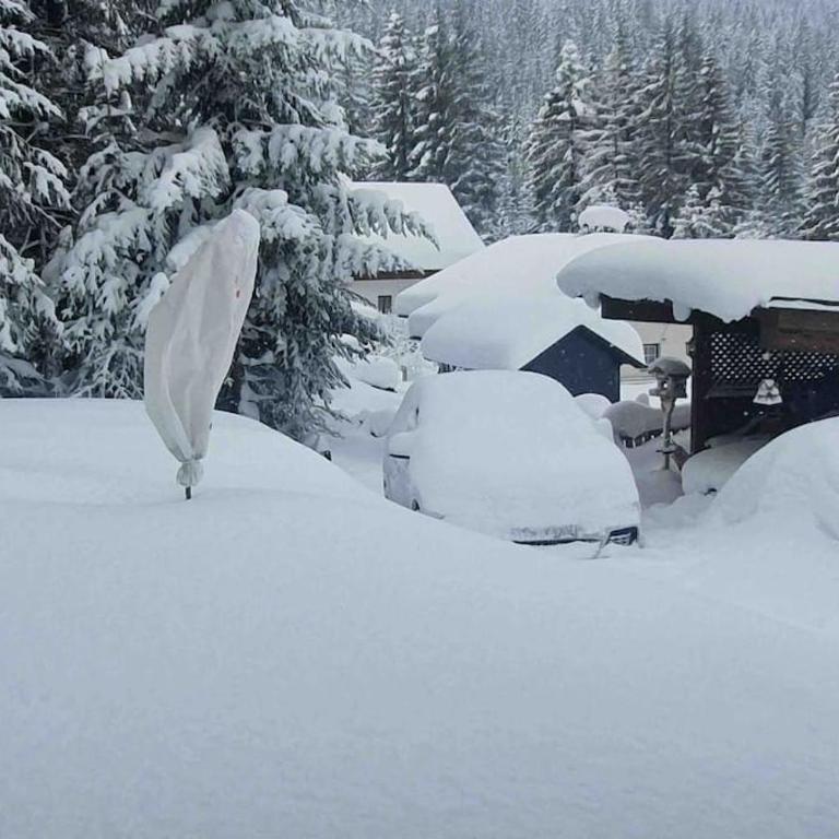 Alpenchalet im Steirischen Salzkammergut - Haus mit 2 Schlafzimmern - 35
