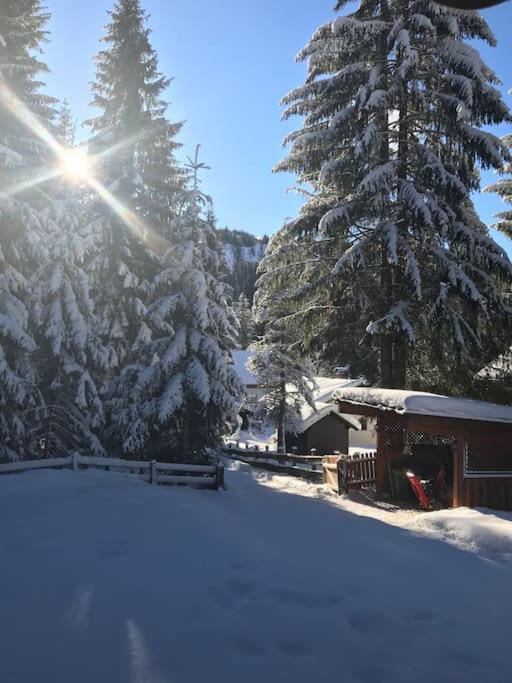 Alpenchalet im Steirischen Salzkammergut - Haus mit 2 Schlafzimmern - 33