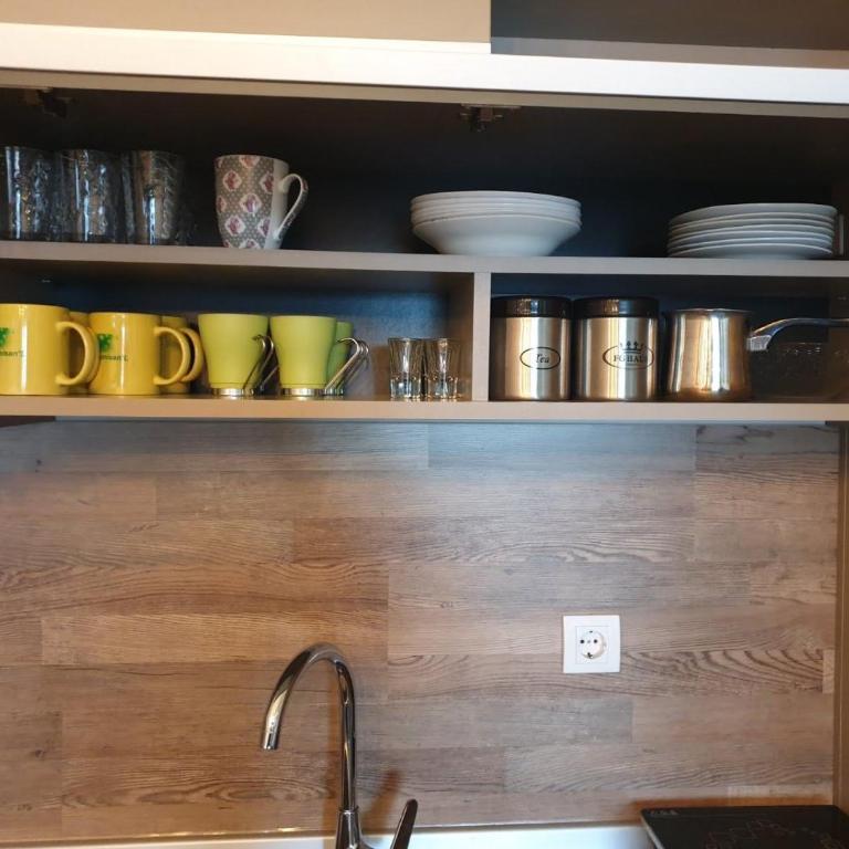 Milmari Premier40 - Apartman sa 1 Spavaćom Sobom - 10