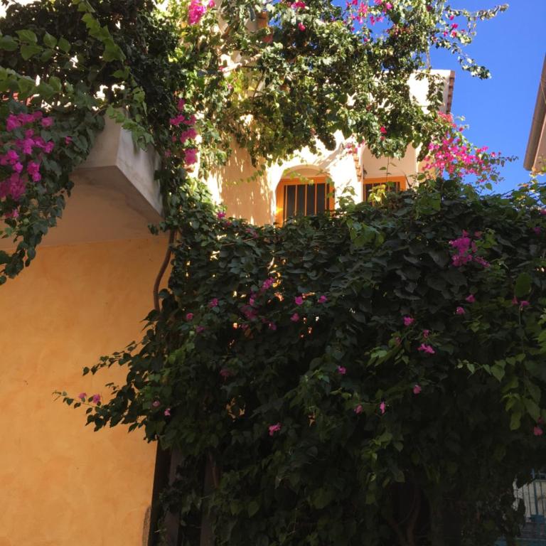 Casa Arborea - Appartamento - 2