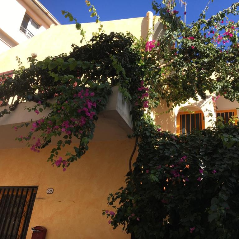 Casa Arborea - Appartamentino su 2 Livelli - 13