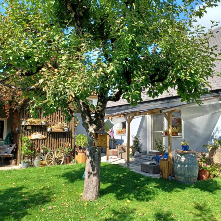 Ferienhaus Tüchler - Maison 3 Chambres - 6