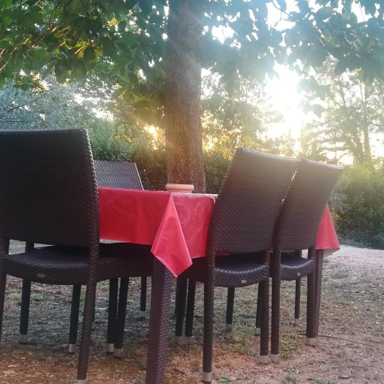 La Casa Di Famiglia - Appartamento con Vista Giardino - 6