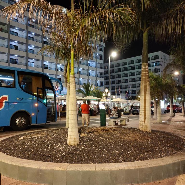 Vivienda Agaete Parque - Apartamento de 2 dormitorios - 69