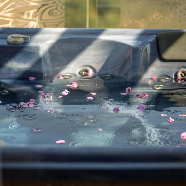 Spa Resort Luxury Apartments - Penthouse Apartment - 15