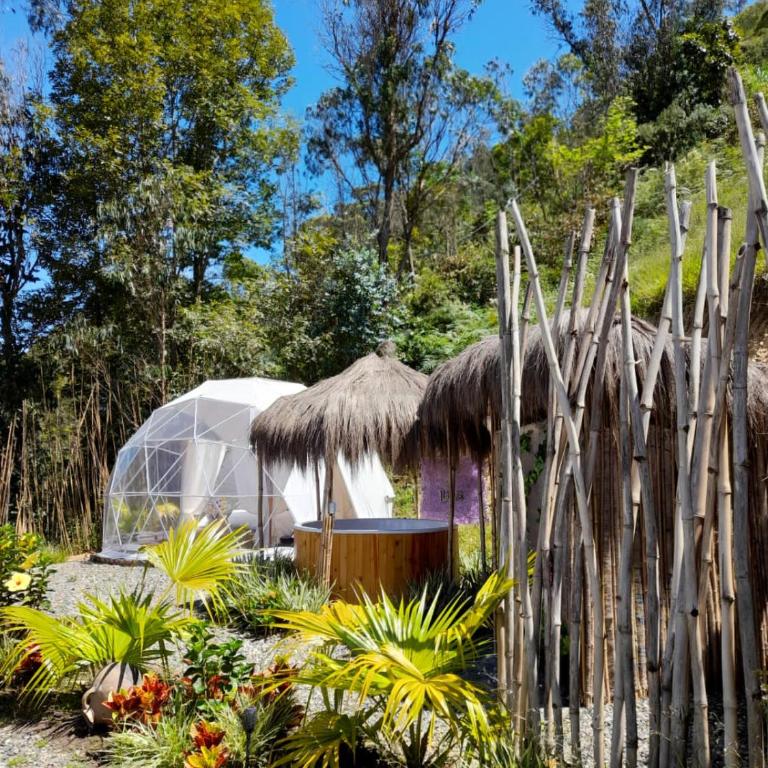 IslaMontaña Glamping - Isla Colibrí - 31