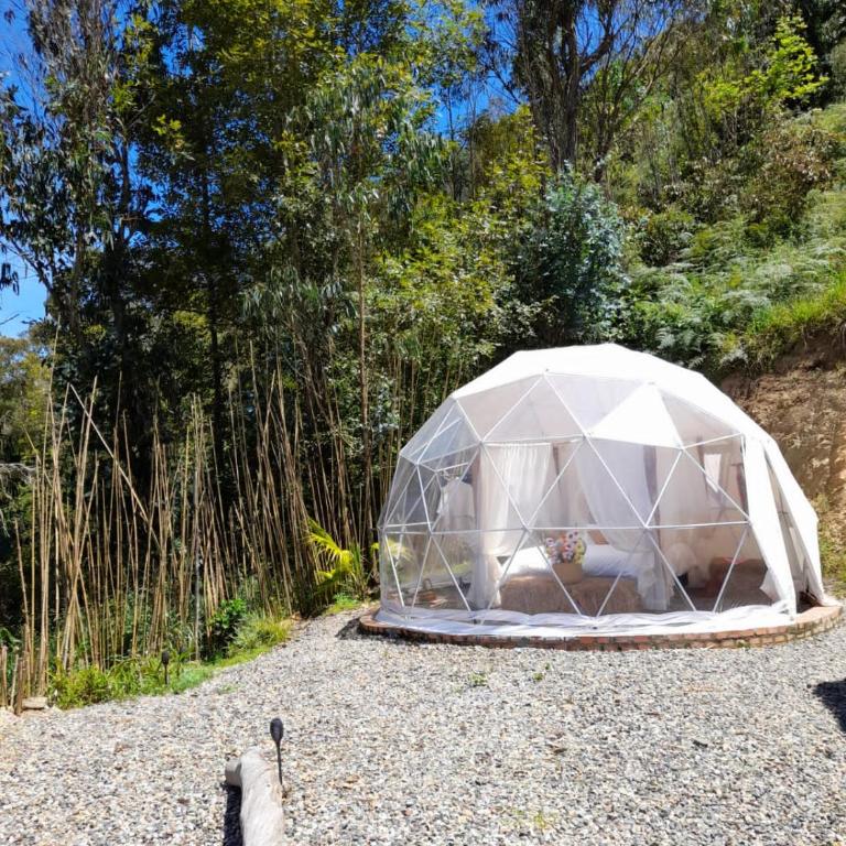 IslaMontaña Glamping - Isla Colibrí - 30