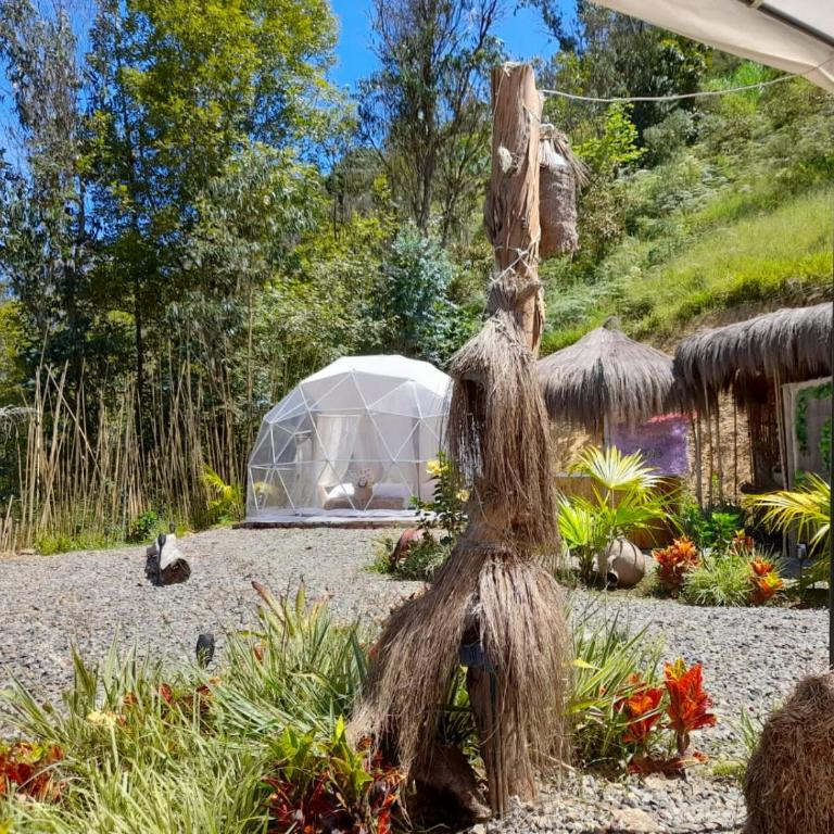 IslaMontaña Glamping - Isla Colibrí - 29