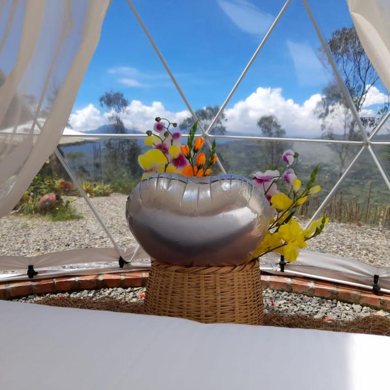 IslaMontaña Glamping - Isla Colibrí - 18