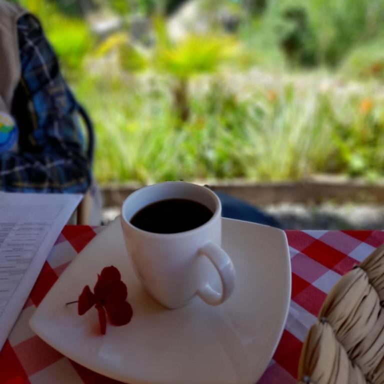 IslaMontaña Glamping - Isla Colibrí - 14