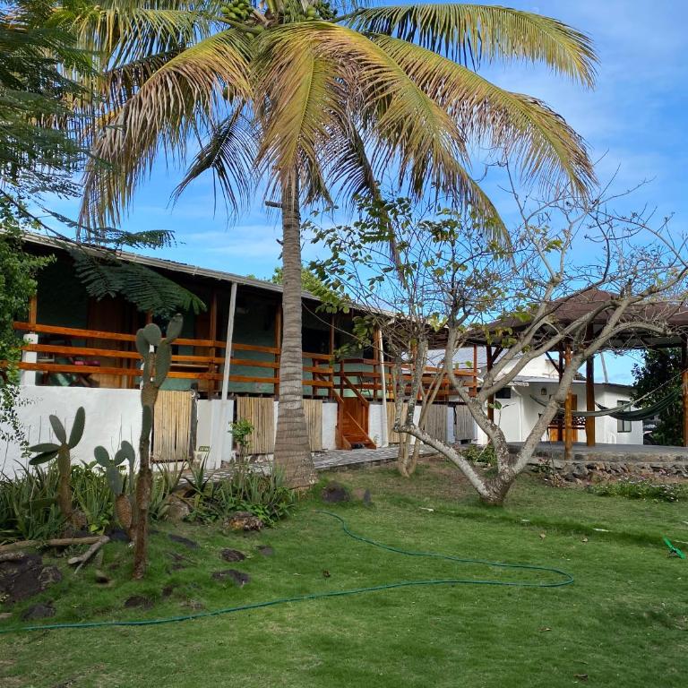 La Peregrina Galapagos B&B - Habitación Individual - 6