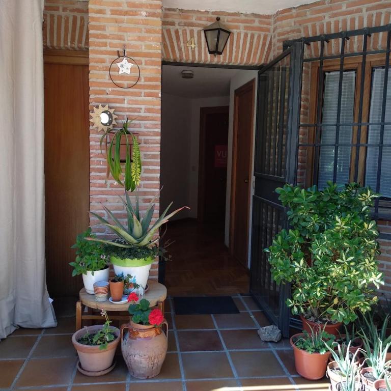 El Balcón del Tajo - Apartamento - Planta baja - 7