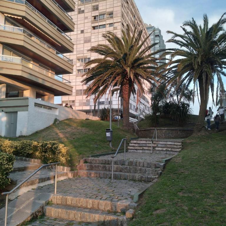 APARTAMENTO PENÍNSULA PUNTA DEL ESTE BAHÍA PALACE - Apartamento de 1 dormitorio - 19