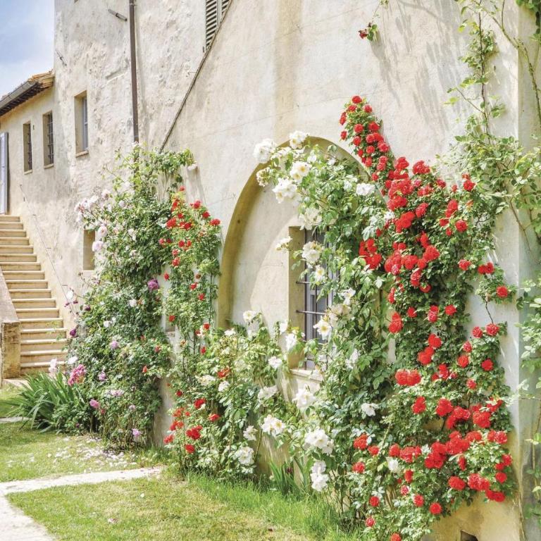 Sanlucchese 1 - Casa Vacanze con 3 Camere da Letto - 2