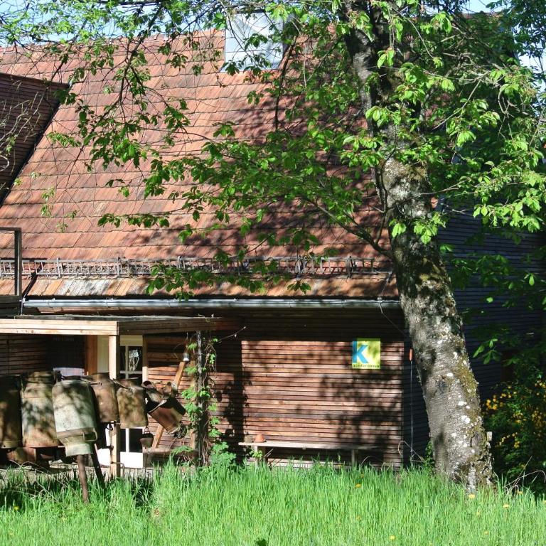 Künstlerzimmer - Apartment - 30