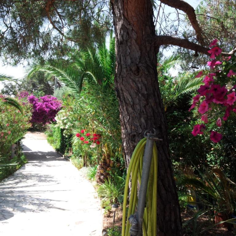Villa Provençale â Sainte Maxime, Golf de Saint Tropez - Villa mit Meerblick - 66