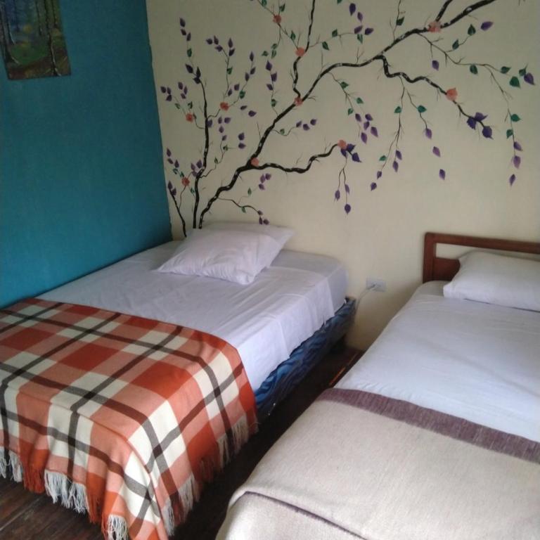 Buganvilla Guest House - Habitación Triple Económica - 8