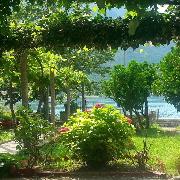 Apartments Vido - One-Bedroom Apartment with Terrace and Sea View - 33
