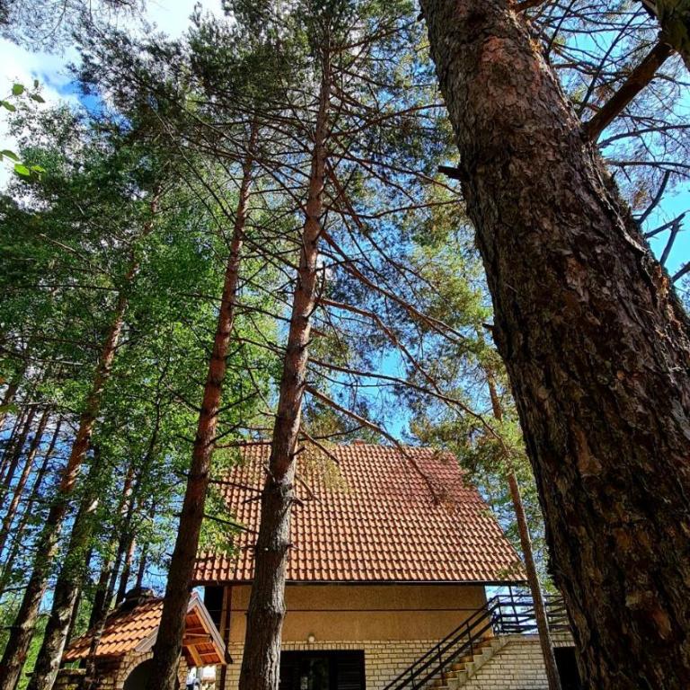 PLANINSKA VILA SMIGIC - Kuća sa 2 Spavaće Sobe - 2