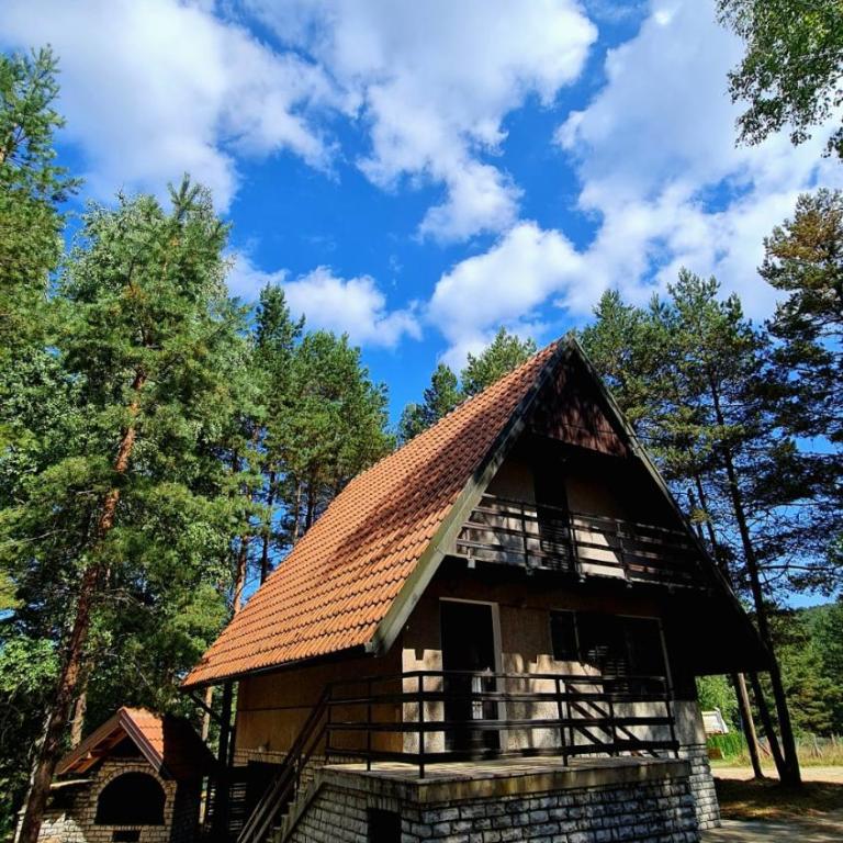 PLANINSKA VILA SMIGIC - Kuća sa 2 Spavaće Sobe - 25