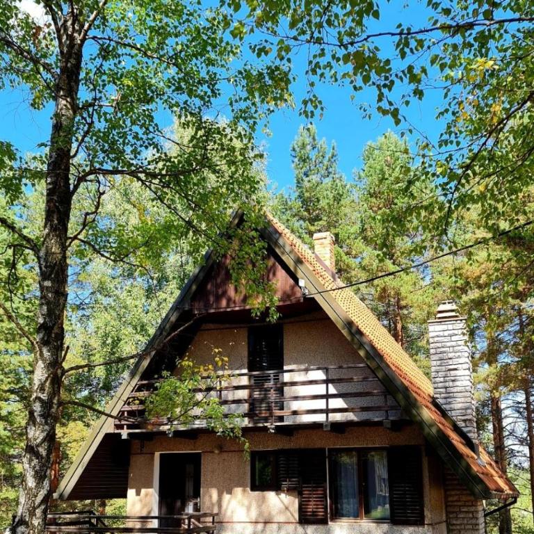 PLANINSKA VILA SMIGIC - Kuća sa 2 Spavaće Sobe - 27