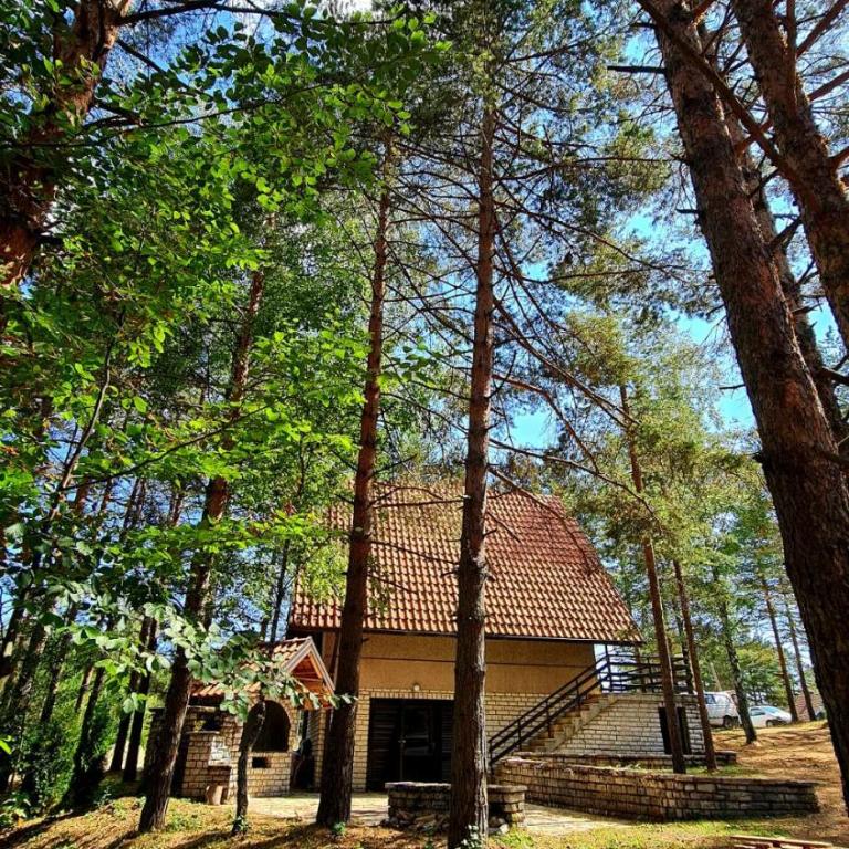 PLANINSKA VILA SMIGIC - Kuća sa 2 Spavaće Sobe - 29