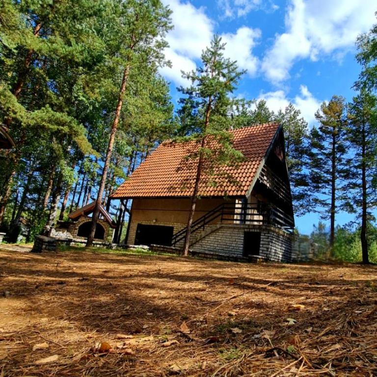 PLANINSKA VILA SMIGIC - Kuća sa 2 Spavaće Sobe - 33