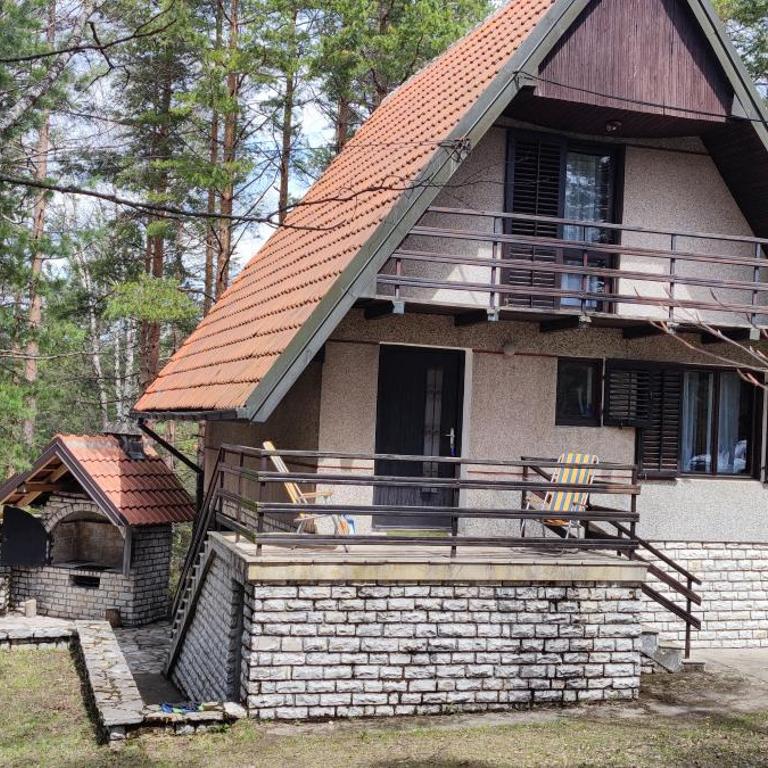 PLANINSKA VILA SMIGIC - Kuća sa 2 Spavaće Sobe - 34