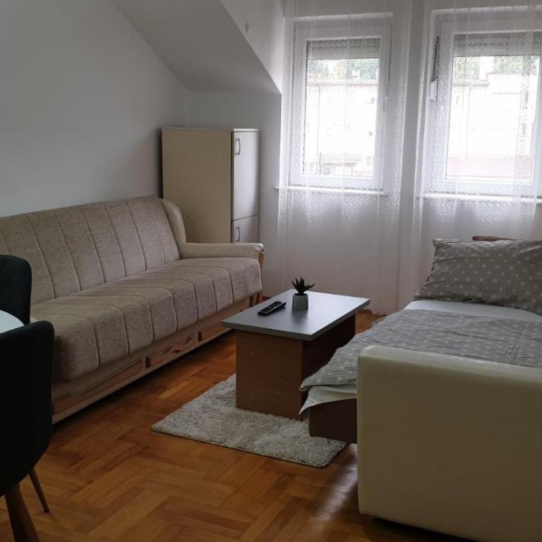 Apartman Ristić 6 - Apartman sa 1 Spavaćom Sobom - 6