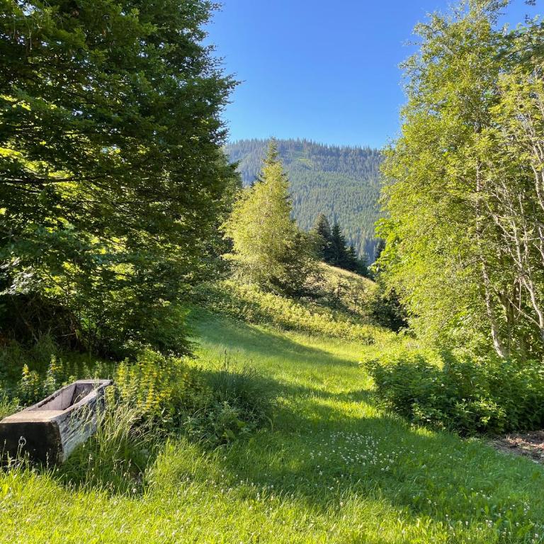 Ski- und Sommer-Chalet für 10 Personen in Dienten am Hochkönig - Chalet - 17