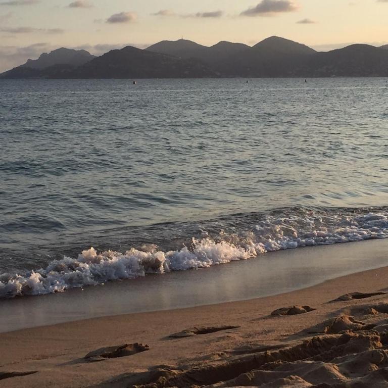 Cannes - view Cap Esterel - Appartement - 25