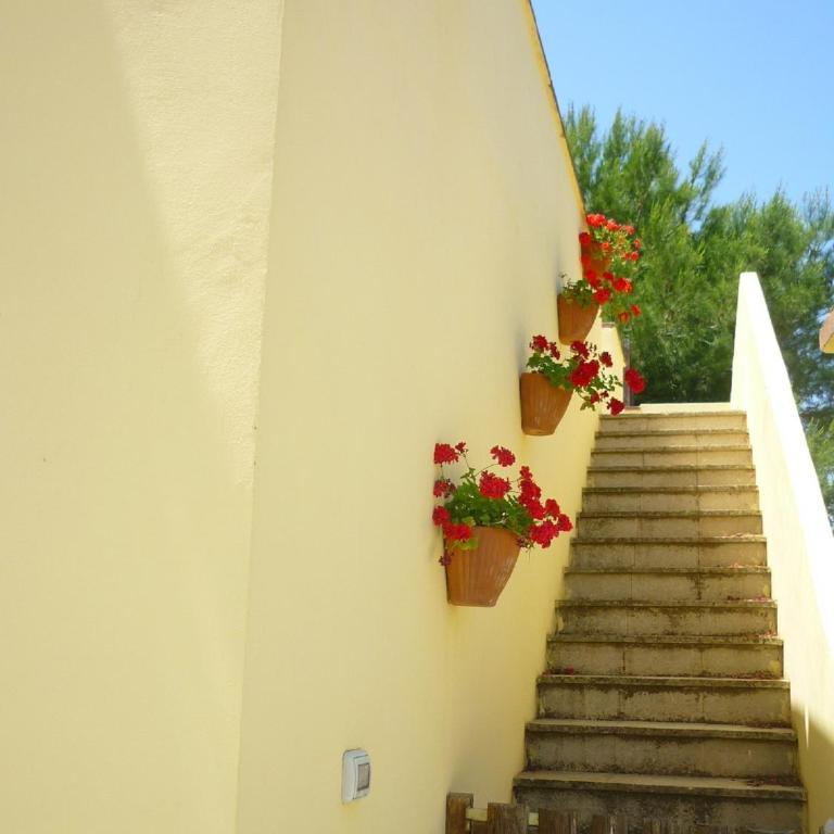 Agriturismo Tenuta La Siesta - Casa con 1 Camera da Letto - 11