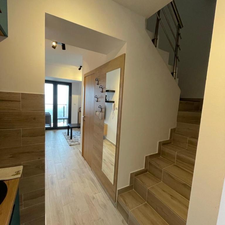 Divcibarski cardak - Apartman sa 1 Spavaćom Sobom - 25