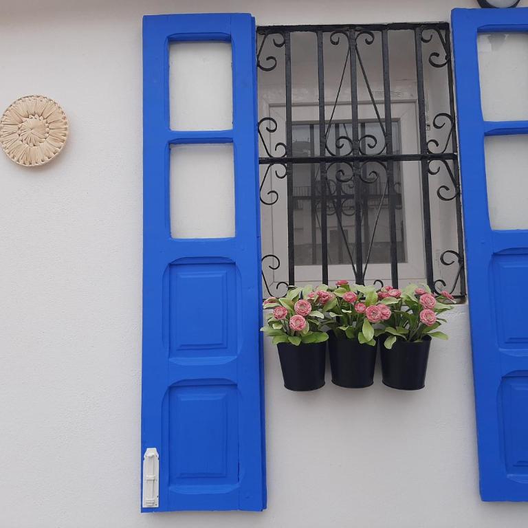 LA SUITE DEL CONDE LUXURY SUITES - Estudio con terraza - 10