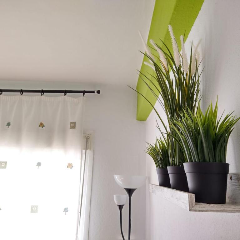 Central Estudio Torremolinos - Estudio 4 - Apartamento de 1 dormitorio - 20
