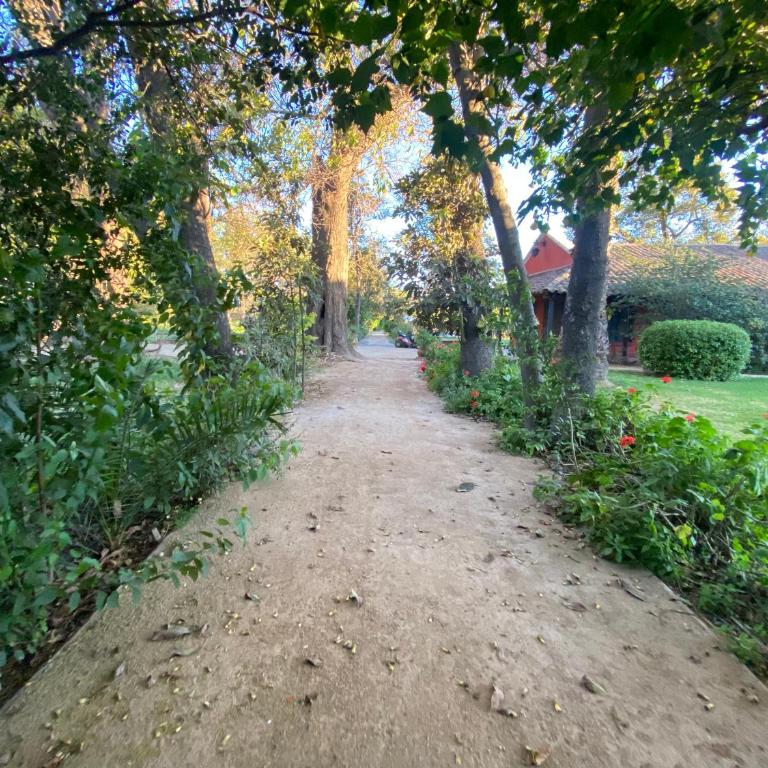 The White House by Casona Lo Aguirre - El Monte RM - Deluxe Double Room (2 Adults + 1 Child) - 9