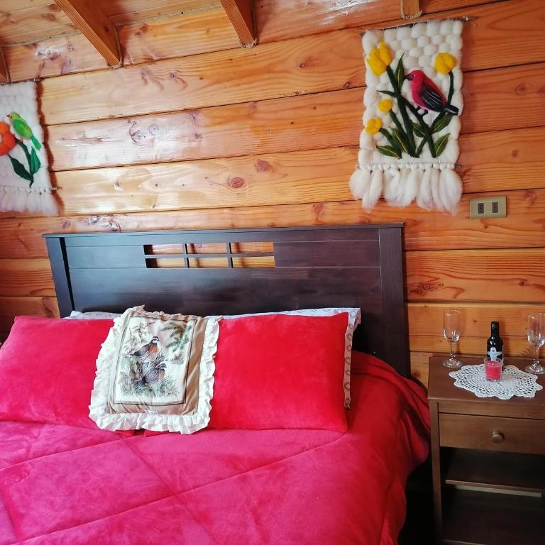 Cabañas El Diuco en Coñaripe 4 - One-Bedroom House - 11