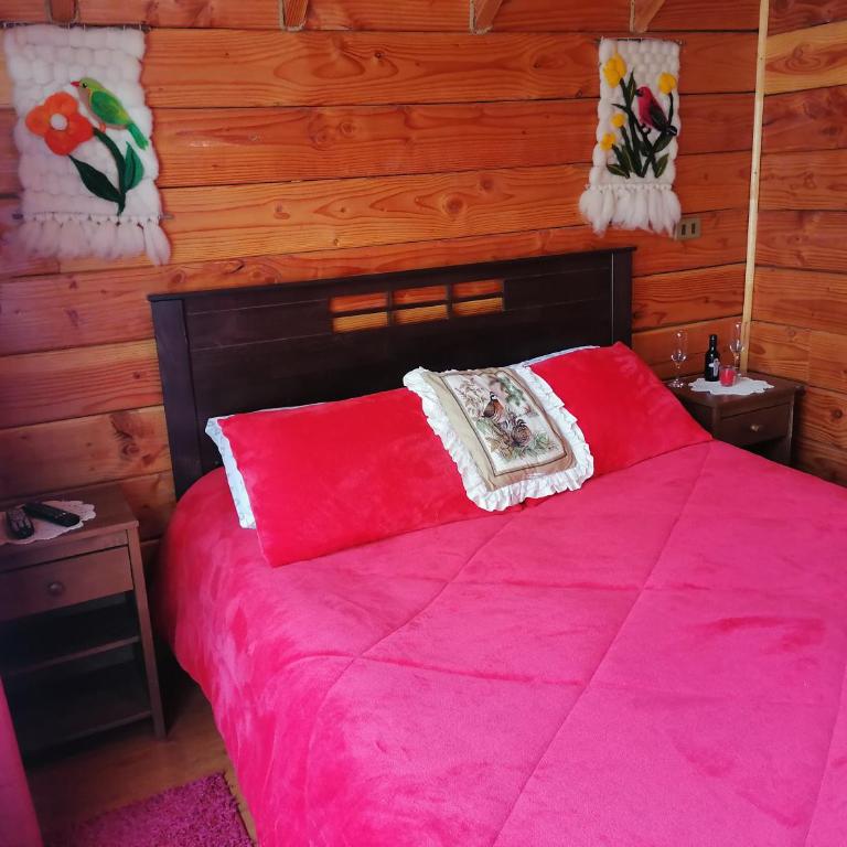 Cabañas El Diuco en Coñaripe 4 - One-Bedroom House - 3