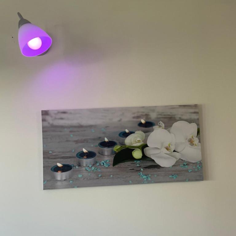 Résidence La Miougrano Fréjus plage - Monolocale con Balcone - 24