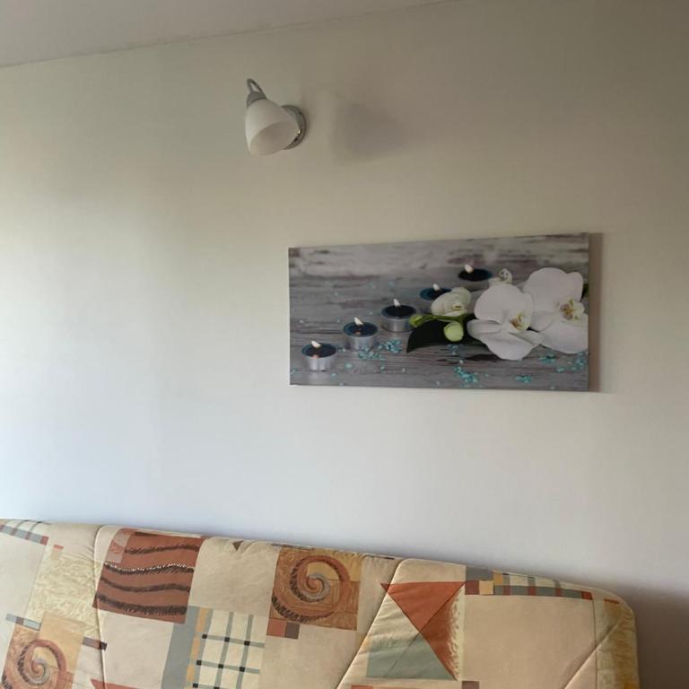 Résidence La Miougrano Fréjus plage - Monolocale con Balcone - 23