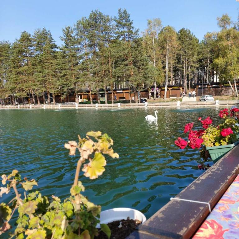 APARTMAN SONJA - Apartman sa 1 Spavaćom Sobom - 10