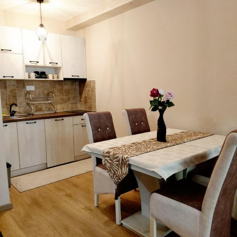APARTMAN SONJA - Apartman sa 1 Spavaćom Sobom - 18
