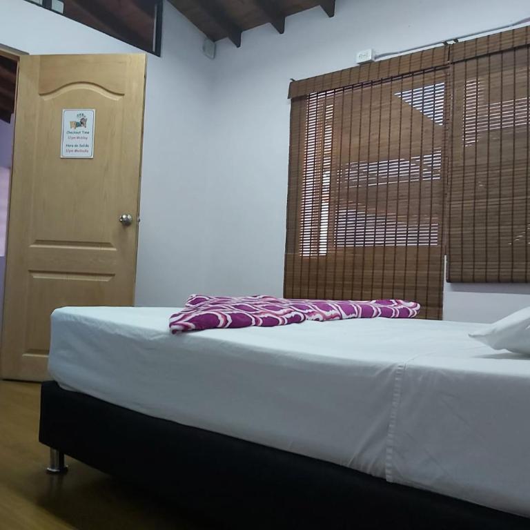 Purple Monkey Hostel - Habitación Doble Grande - 1 o 2 camas - 4